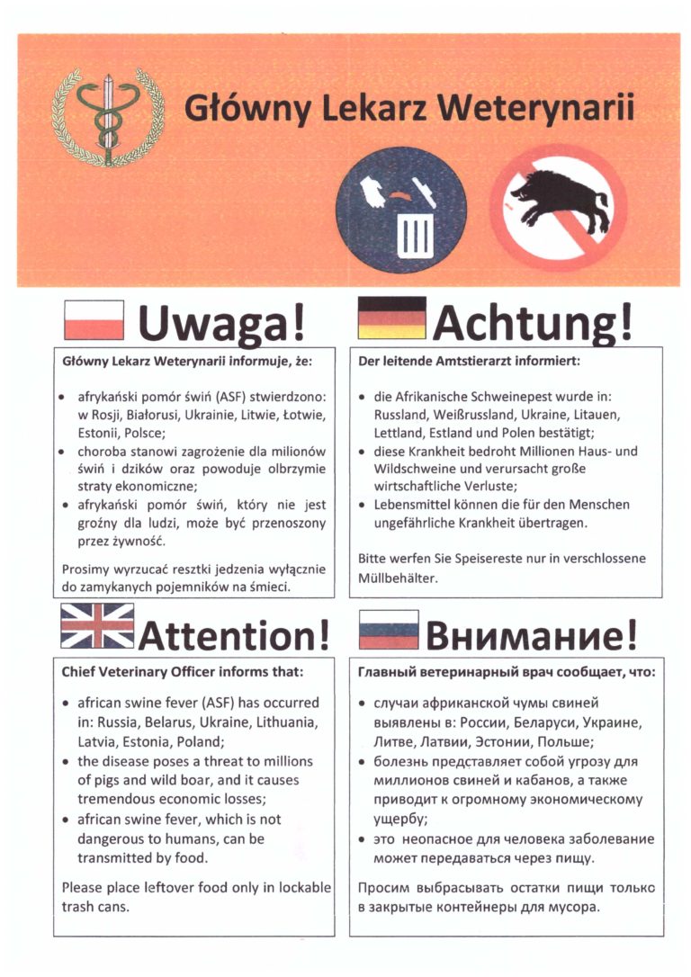 Amerykański pomór świń