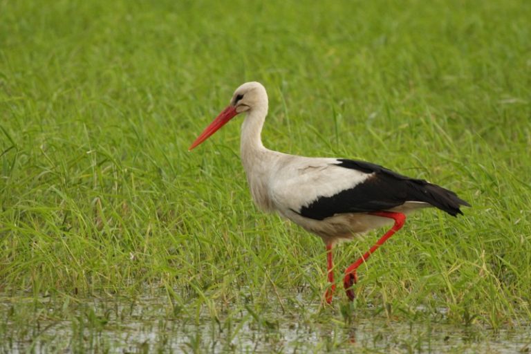 Apel do mieszkańców !!!