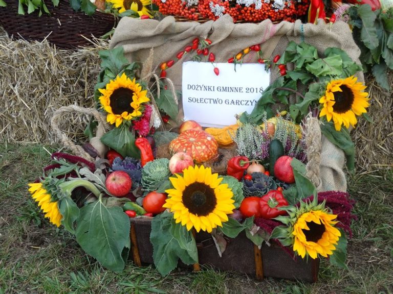 Gminne Dożynki w Głodowie