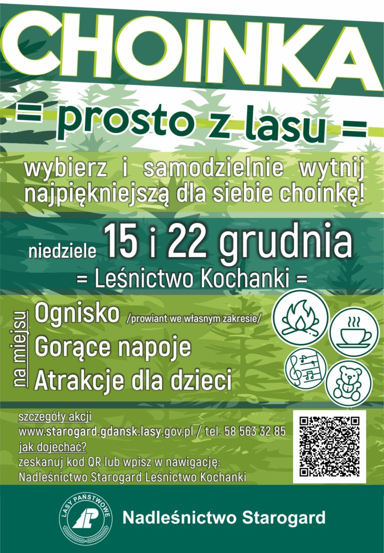 Choinka prosto z lasu