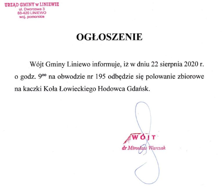 Polowanie zbiorowe na kaczki