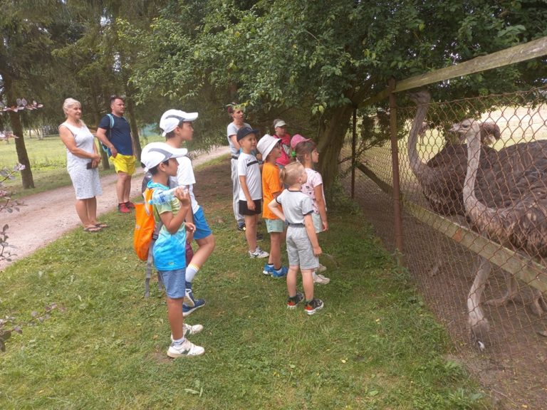 Wycieczka rowerowa do Fermy Strusi w Garczynie