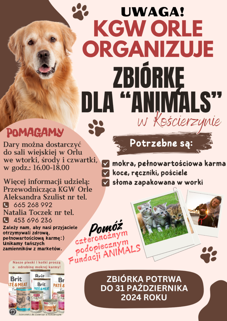 Dzień Edukacji Narodowej