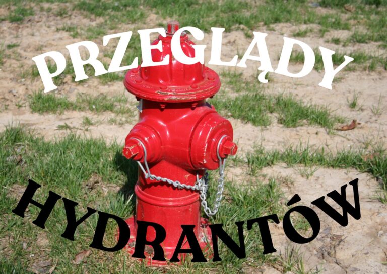 przeglĄdy